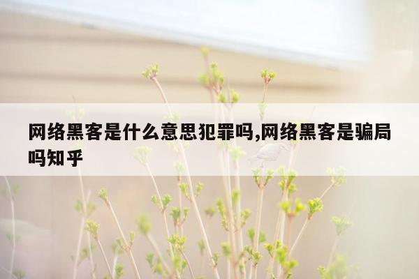 网络黑客是什么意思犯罪吗,网络黑客是骗局吗知乎