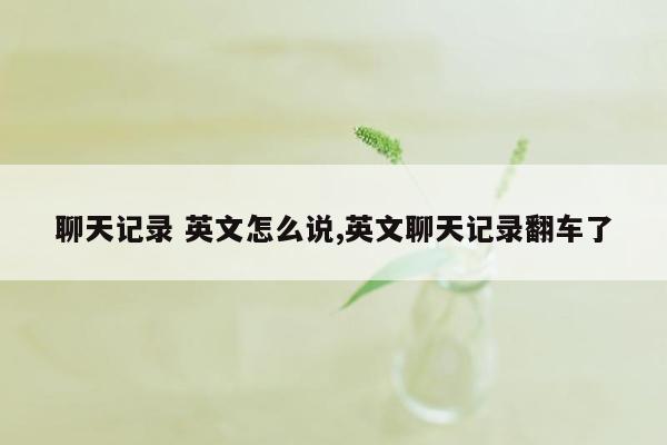 聊天记录 英文怎么说,英文聊天记录翻车了