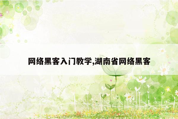 网络黑客入门教学,湖南省网络黑客