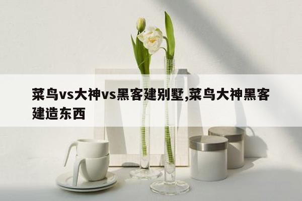 菜鸟vs大神vs黑客建别墅,菜鸟大神黑客建造东西