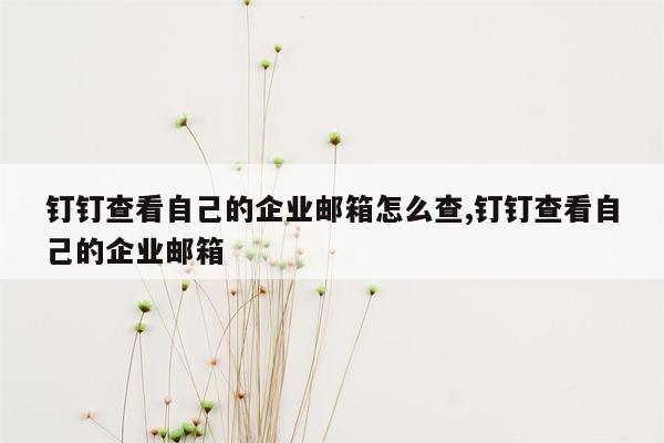 钉钉查看自己的企业邮箱怎么查,钉钉查看自己的企业邮箱