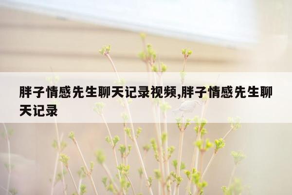 胖子情感先生聊天记录视频,胖子情感先生聊天记录