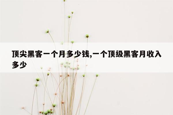 顶尖黑客一个月多少钱,一个顶级黑客月收入多少