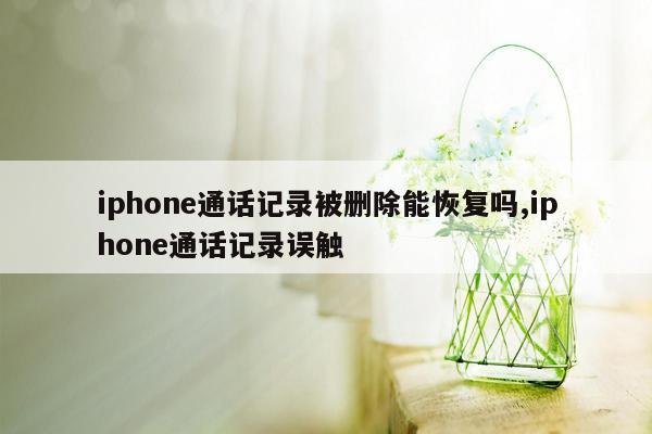 iphone通话记录被删除能恢复吗,iphone通话记录误触