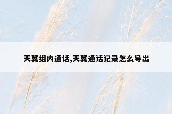 天翼组内通话,天翼通话记录怎么导出