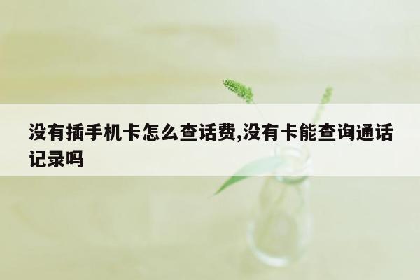 没有插手机卡怎么查话费,没有卡能查询通话记录吗