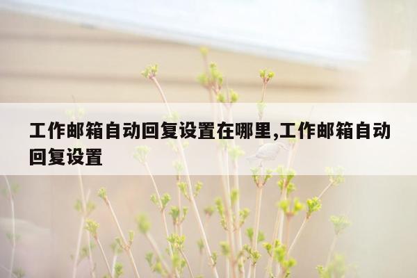 工作邮箱自动回复设置在哪里,工作邮箱自动回复设置