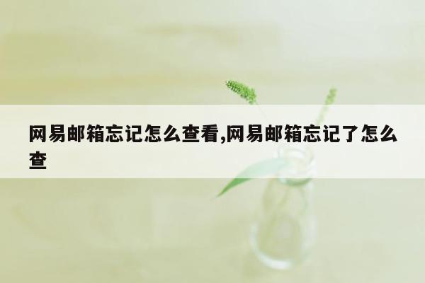 网易邮箱忘记怎么查看,网易邮箱忘记了怎么查