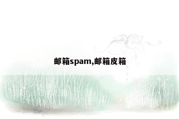 邮箱spam,邮箱皮箱