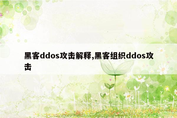 黑客ddos攻击解释,黑客组织ddos攻击