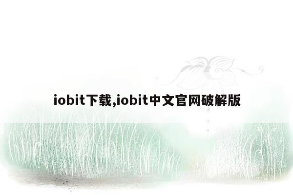 iobit下载,iobit中文官网破解版