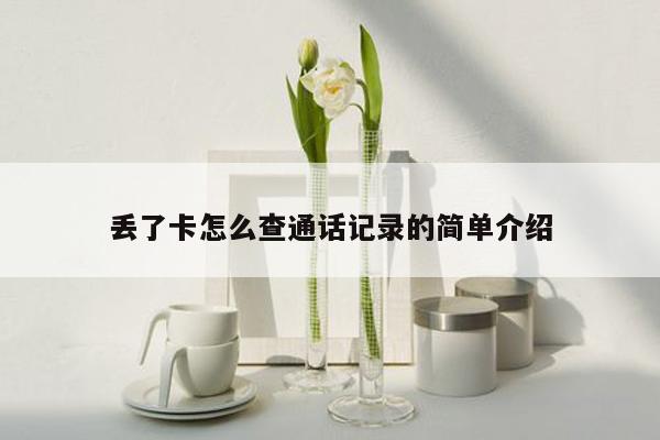 丢了卡怎么查通话记录的简单介绍