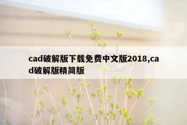 cad破解版下载免费中文版2018,cad破解版精简版