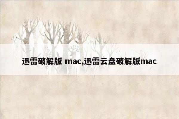 迅雷破解版 mac,迅雷云盘破解版mac
