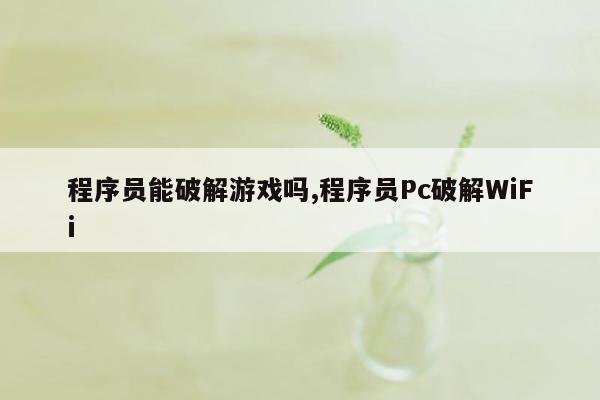 程序员能破解游戏吗,程序员Pc破解WiFi