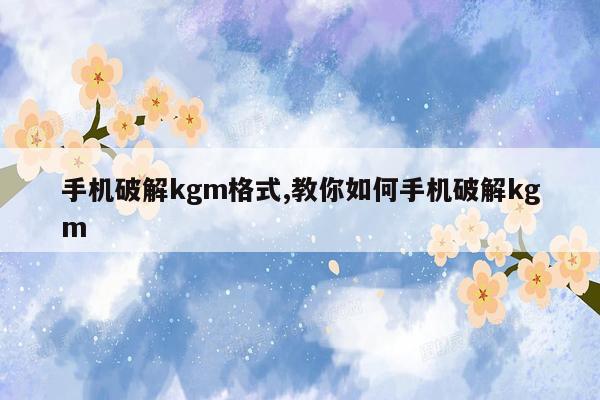 手机破解kgm格式,教你如何手机破解kgm