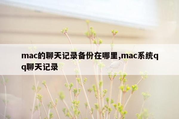 mac的聊天记录备份在哪里,mac系统qq聊天记录