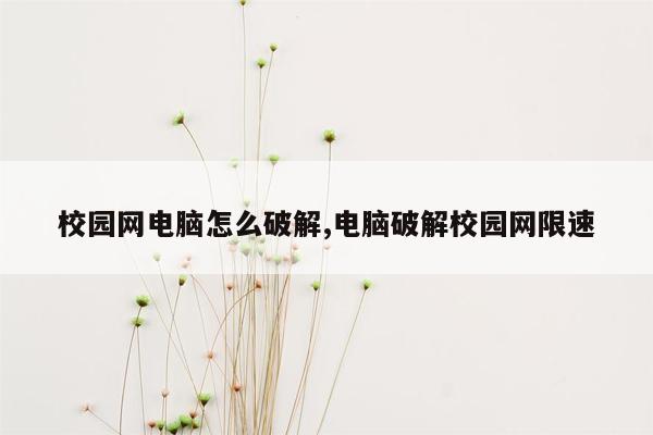 校园网电脑怎么破解,电脑破解校园网限速