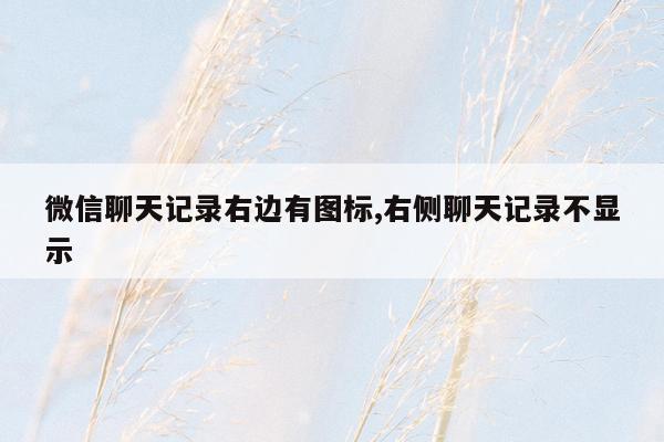 微信聊天记录右边有图标,右侧聊天记录不显示