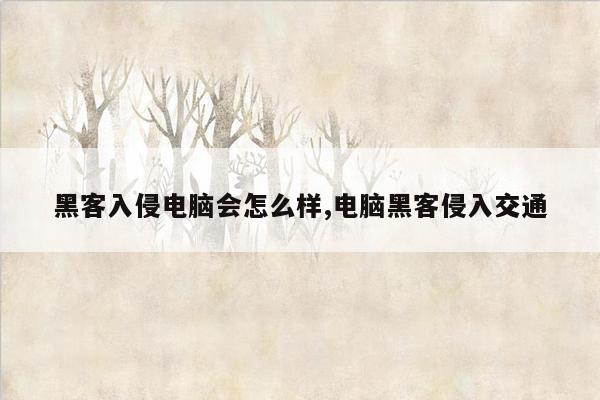 黑客入侵电脑会怎么样,电脑黑客侵入交通