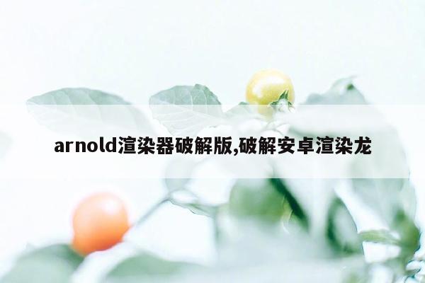 arnold渲染器破解版,破解安卓渲染龙