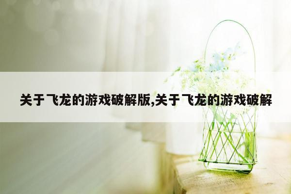 关于飞龙的游戏破解版,关于飞龙的游戏破解