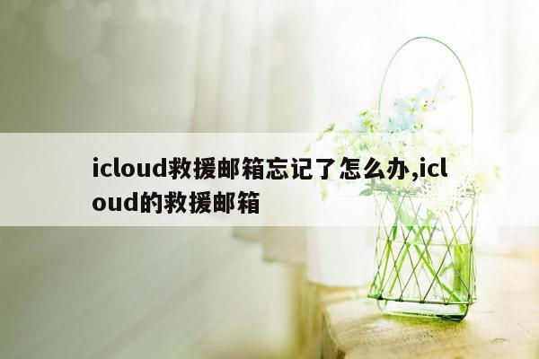 icloud救援邮箱忘记了怎么办,icloud的救援邮箱