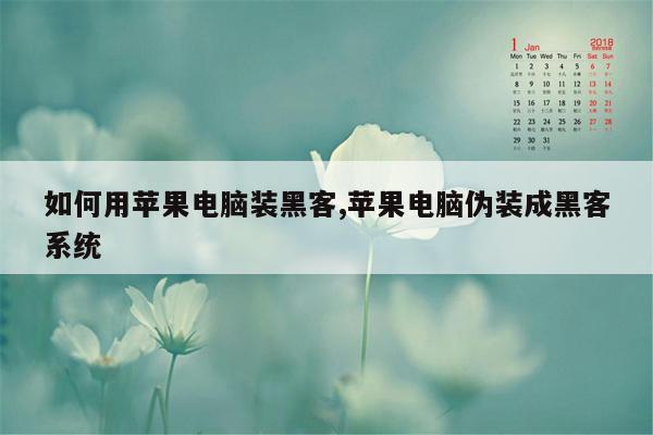 如何用苹果电脑装黑客,苹果电脑伪装成黑客系统