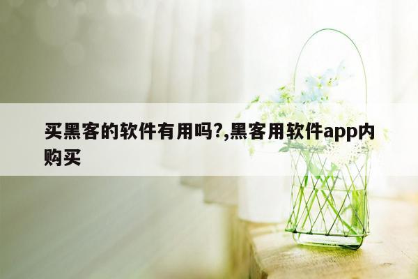 买黑客的软件有用吗?,黑客用软件app内购买