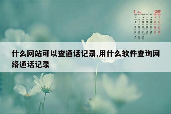 什么网站可以查通话记录,用什么软件查询网络通话记录