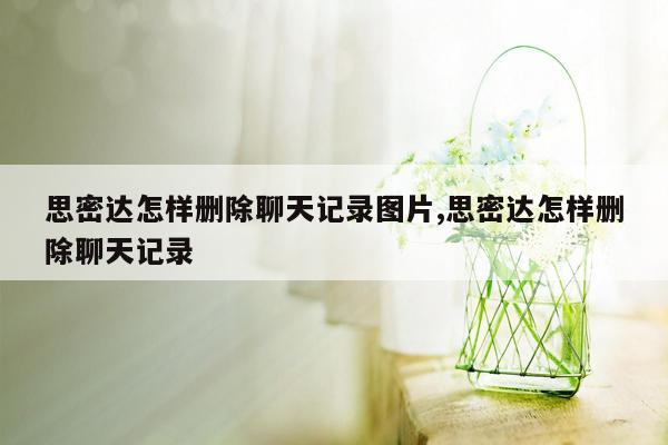 思密达怎样删除聊天记录图片,思密达怎样删除聊天记录