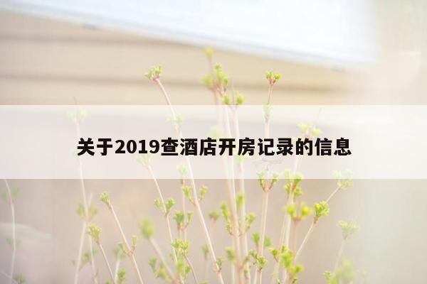 关于2019查酒店开房记录的信息