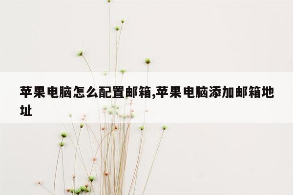 苹果电脑怎么配置邮箱,苹果电脑添加邮箱地址