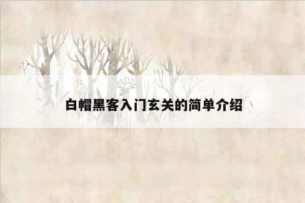 白帽黑客入门玄关的简单介绍