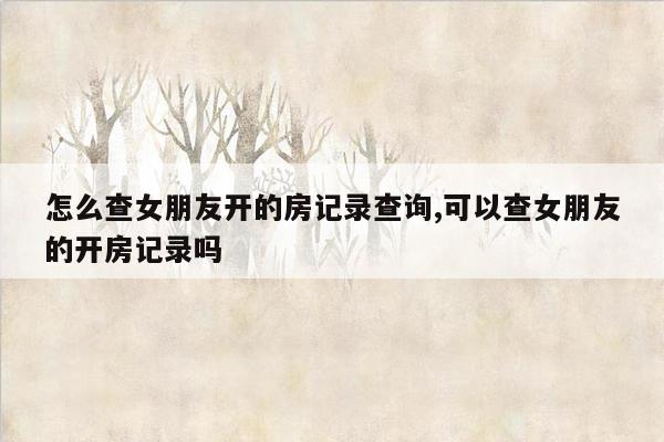 怎么查女朋友开的房记录查询,可以查女朋友的开房记录吗