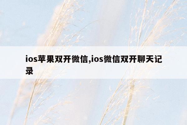 ios苹果双开微信,ios微信双开聊天记录