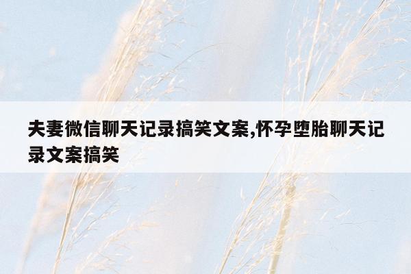 夫妻微信聊天记录搞笑文案,怀孕堕胎聊天记录文案搞笑