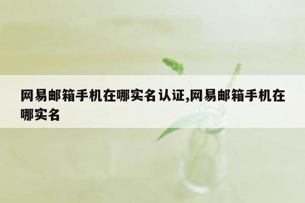 网易邮箱手机在哪实名认证,网易邮箱手机在哪实名