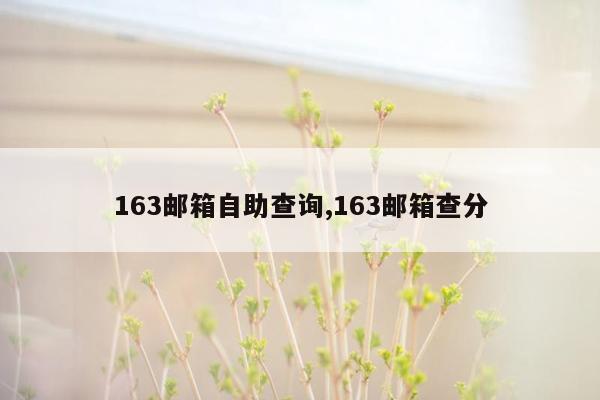 163邮箱自助查询,163邮箱查分