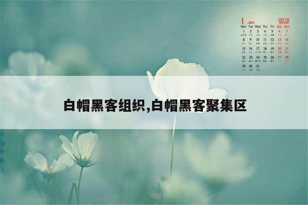 白帽黑客组织,白帽黑客聚集区