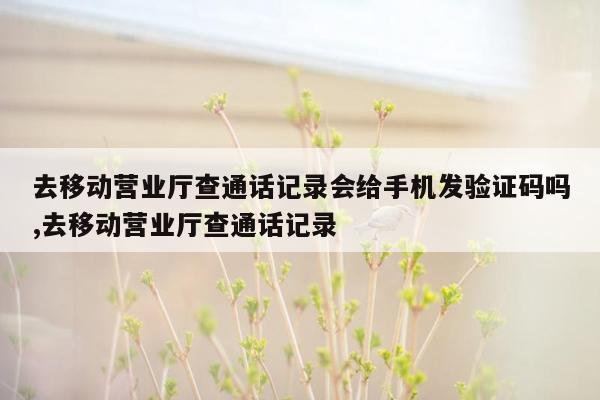 去移动营业厅查通话记录会给手机发验证码吗,去移动营业厅查通话记录