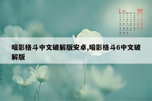 暗影格斗中文破解版安卓,暗影格斗6中文破解版