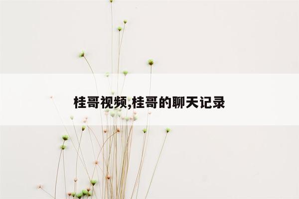 桂哥视频,桂哥的聊天记录