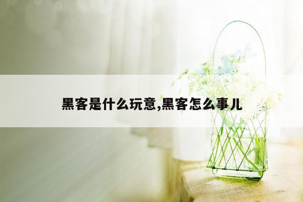 黑客是什么玩意,黑客怎么事儿