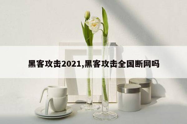 黑客攻击2021,黑客攻击全国断网吗