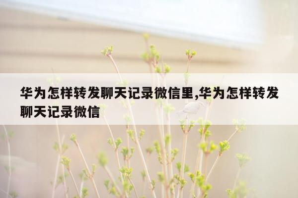 华为怎样转发聊天记录微信里,华为怎样转发聊天记录微信