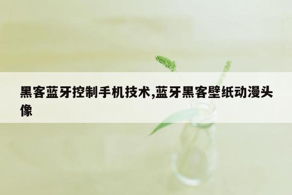 黑客蓝牙控制手机技术,蓝牙黑客壁纸动漫头像