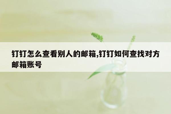 钉钉怎么查看别人的邮箱,钉钉如何查找对方邮箱账号