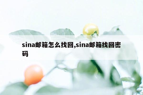 sina邮箱怎么找回,sina邮箱找回密码