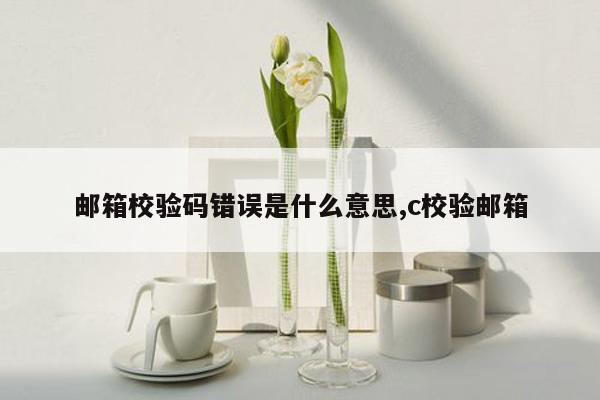 邮箱校验码错误是什么意思,c校验邮箱